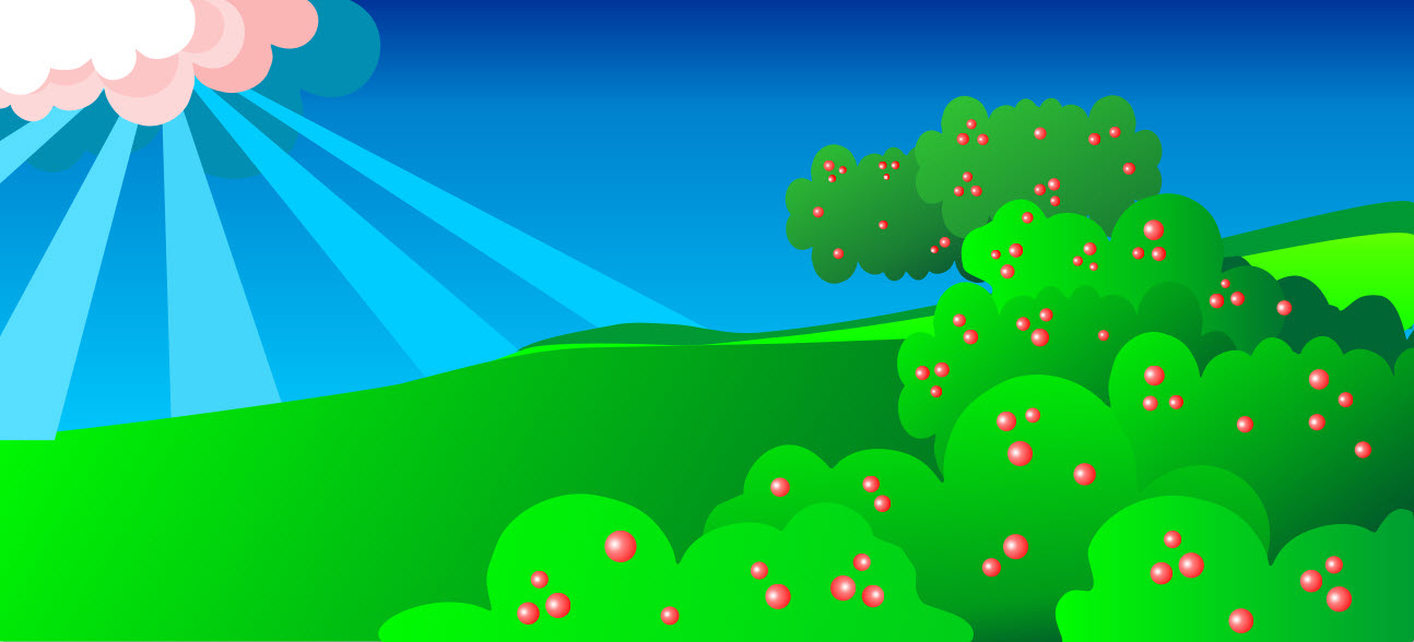 2_websiteheadersummer2