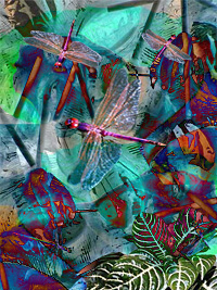 lauren-dragon-flies